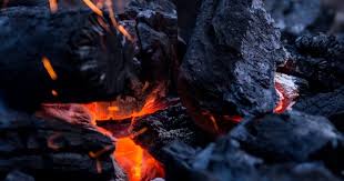 Global Natural Hardwood Charcoal Market growth projection to 3.60% CAGR through 2030