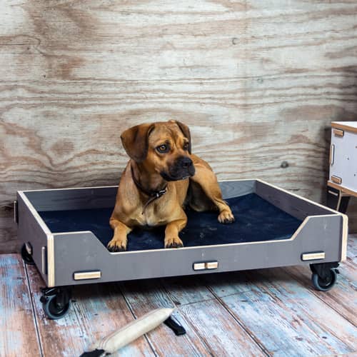 HOW TO CHOOSE THE PERFECT DOG BED FOR YOUR PET