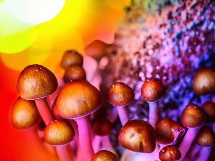 DMT Online Uk: Where Can I Get DMT In The UK?