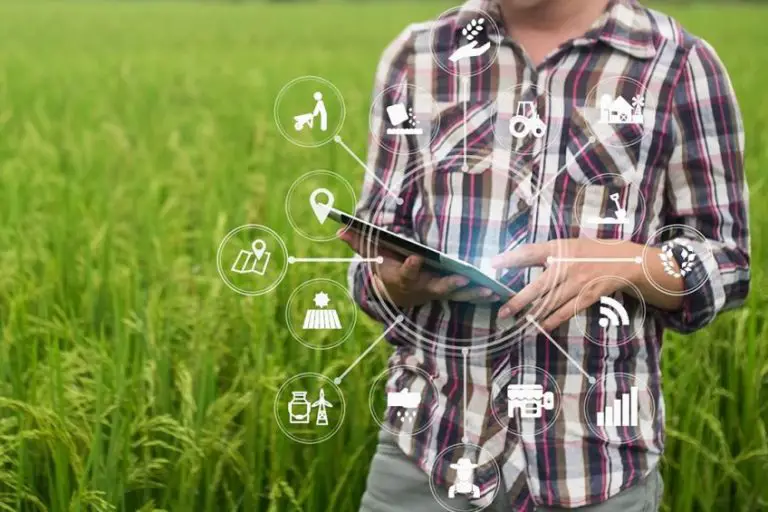 Agriculture Analytics Market Growth Opportunity, Size 2023