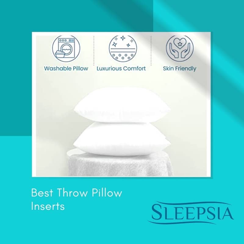 Best Throw Pillow Inserts-ae0bc8f2