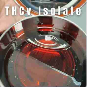 FAQ on THCV Isolate | Bona Voluntate