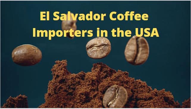 El Salvador coffee importers-9d0b1673