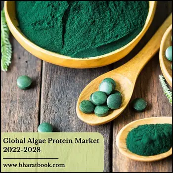 Global Algae Protein Market Research Report 2022-2028