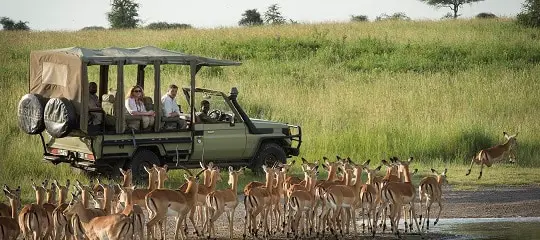 What Does a Package Tour Mean? – Luxury Tanzania Tours, Safari in Tanzania