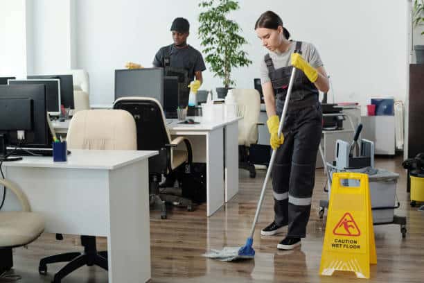 Move In Cleaning Services Houston-71b4abaa