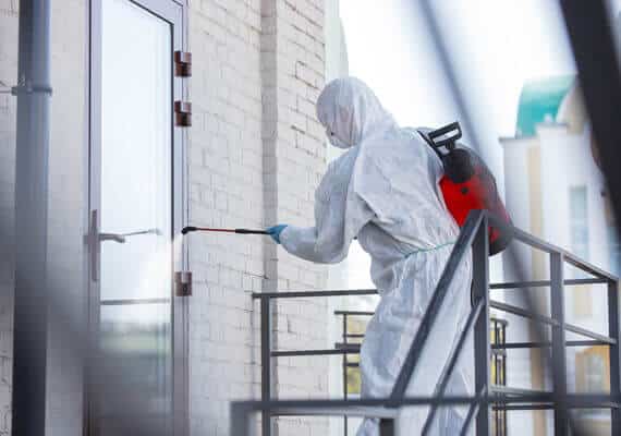 How To Control Pests In Hospitals With Pest Control Services