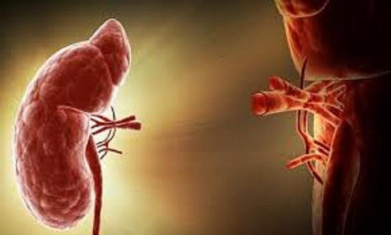 Serological Transplant Diagnostics Market 2023 Valuable Growth Prospects Analysis by 2030