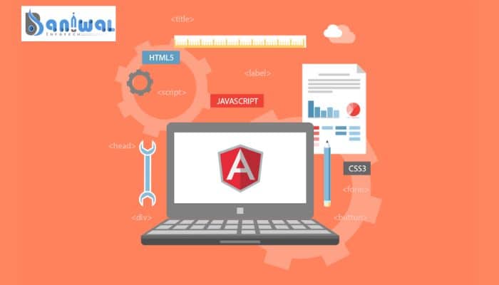 AngularJS Development Provider Company