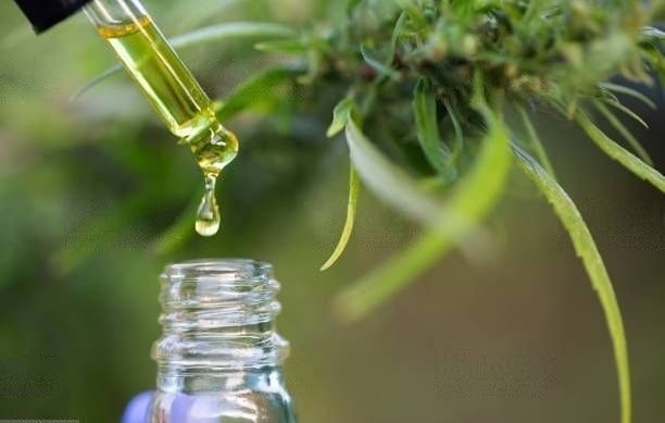 How Does CBD Oil Help With Stress and Anxiety?