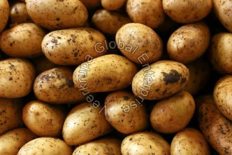 Learn The Top Advantages of Potato