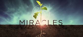 Spiritual Enlightenment – You Are A Miracle of Life