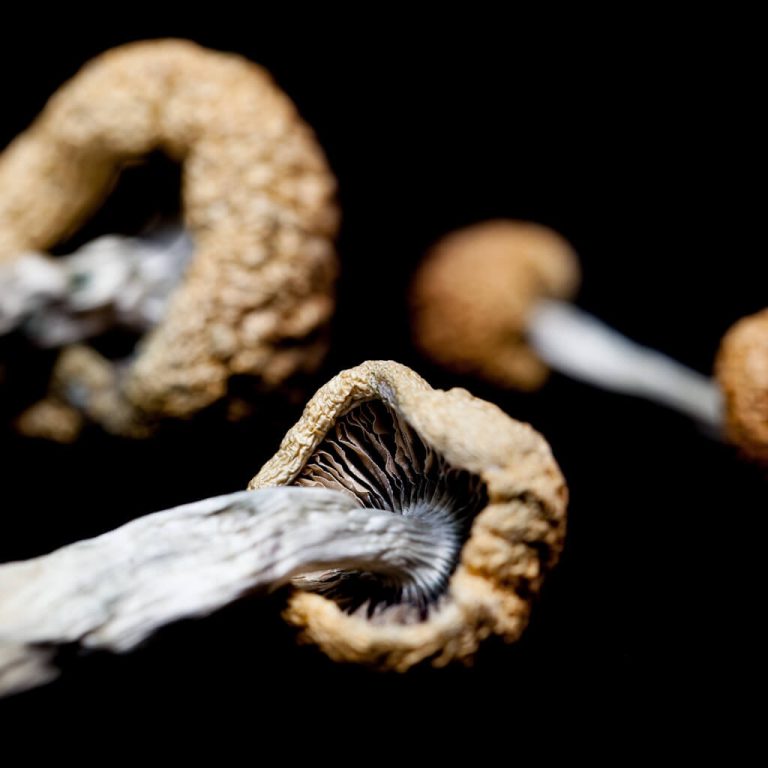 Can Psychedelic Drugs Treat Depression?