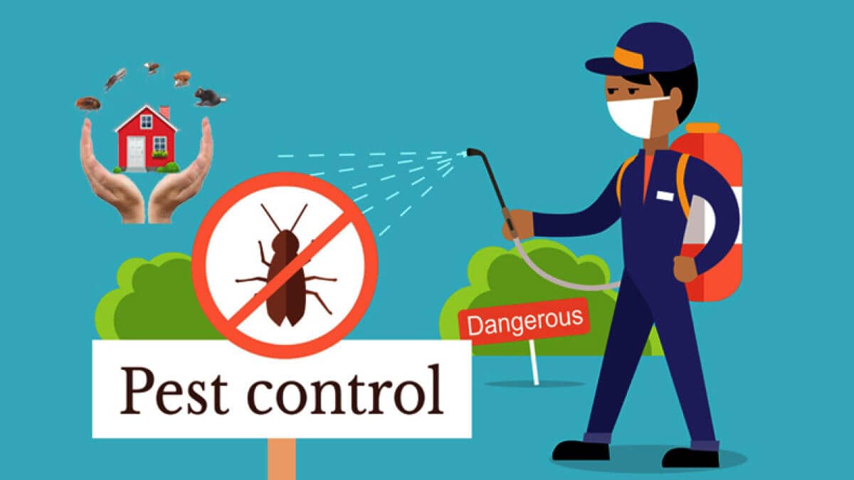 pest control-80f324b9