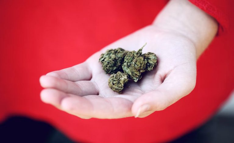 8 High-THC Weed Strains You Should Check Out