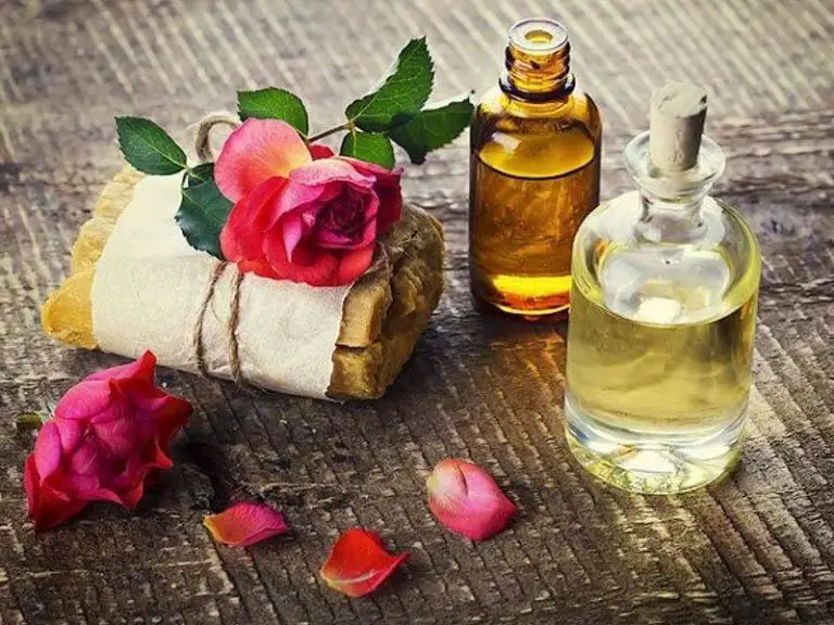 The Best Natural Perfumes to Enhance Your Scent and Mood