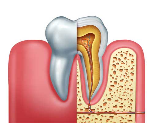 Explore the Most Common Dental Procedures