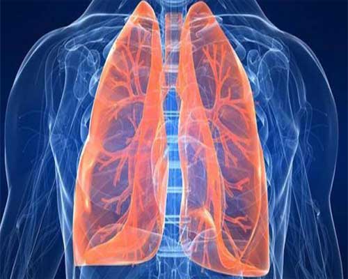 Tips for a Faster Recovery After a Lung Transplant