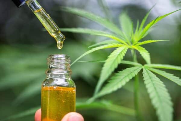 Cannabis Extract Market