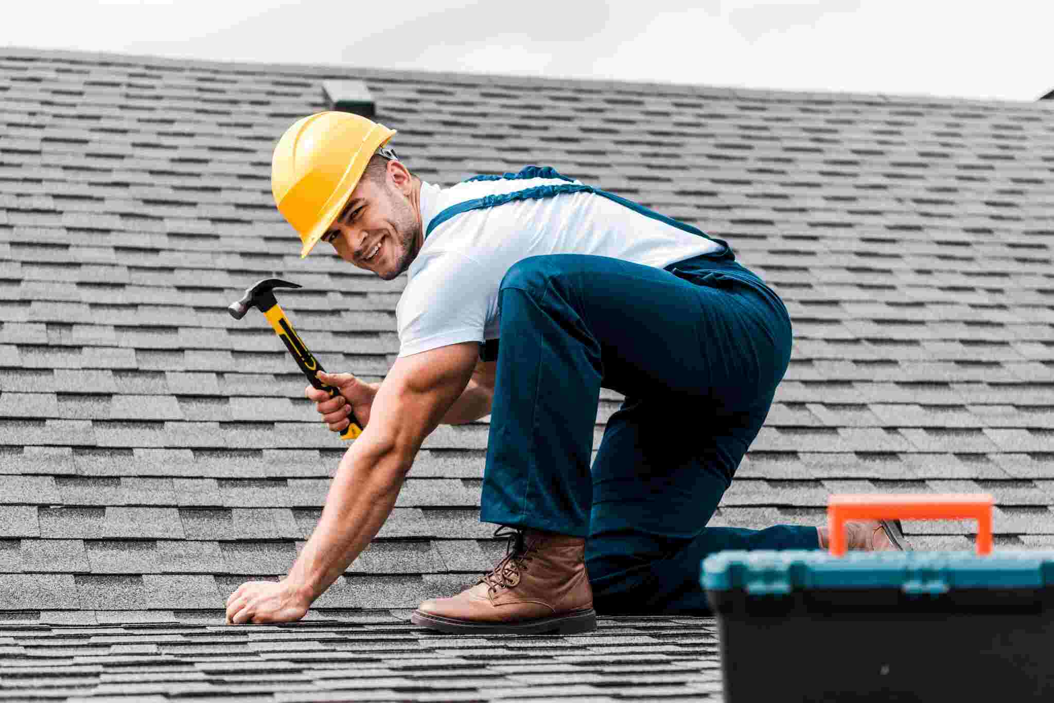 Dial A Gutter Cleaner - Services - Roof Restoration (1)