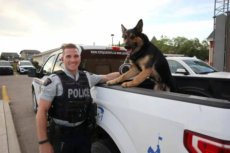 What are the benefits of training dogs for police in Los Angeles?