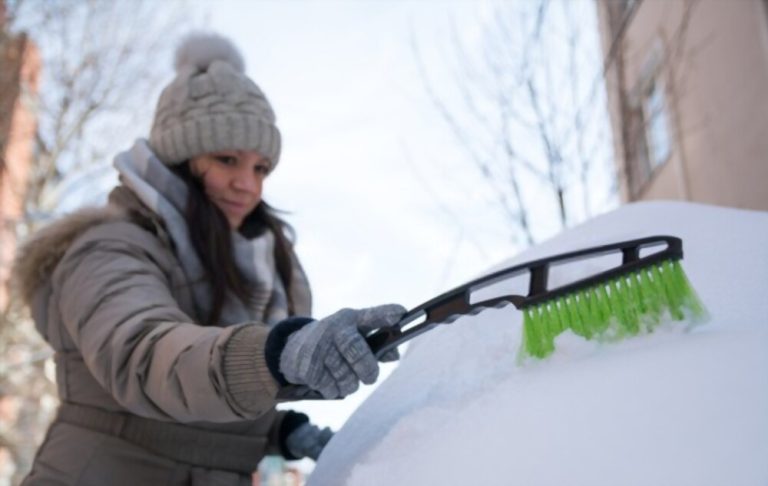 How To Take Care Of Your Trees In Winter With Landscaping Services?