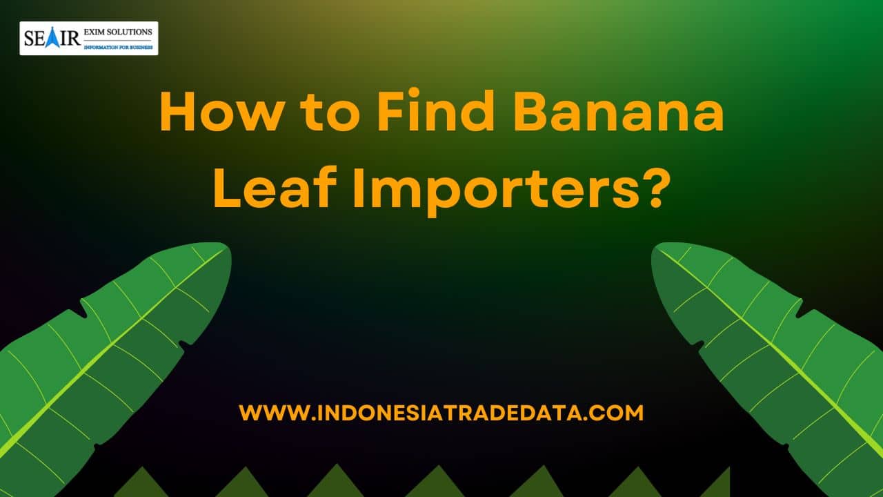 How to Find Banana Leaf Importers