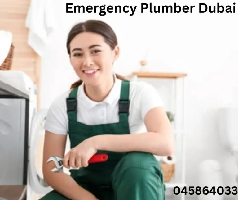 Who can provide the top plumbing service in Dubai?