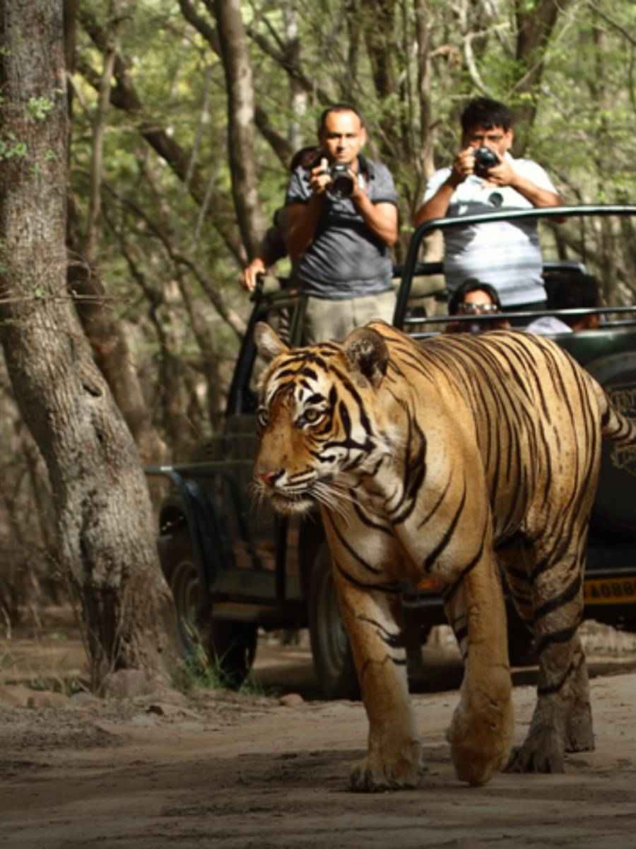 Top Places to Visit in Gujarat and Tourist Attractions_11zon