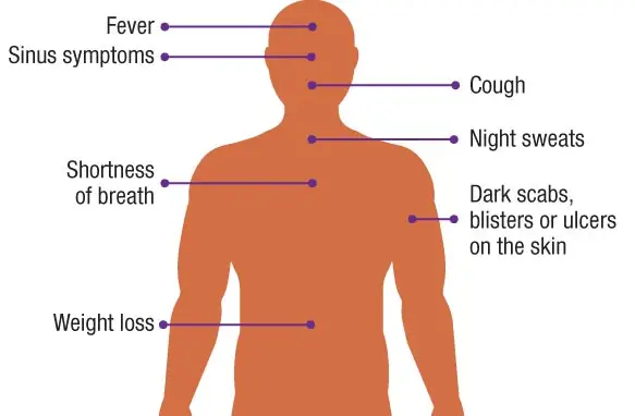 Treat Mold-Related Illnesses