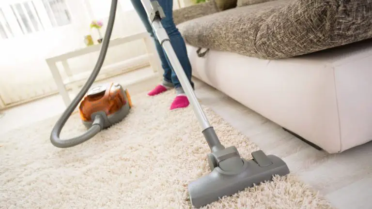 Everything You Need to Learn About Commercial Carpet Cleaning