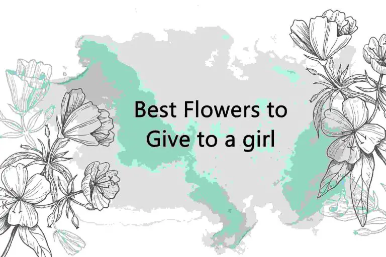 Best Flowers to Give to a Girl