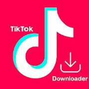 How to Download TikTok Videos on Your Phone or Computer?