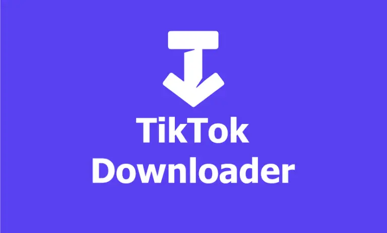 Find the Best TikTok Downloader for You: A Comprehensive List