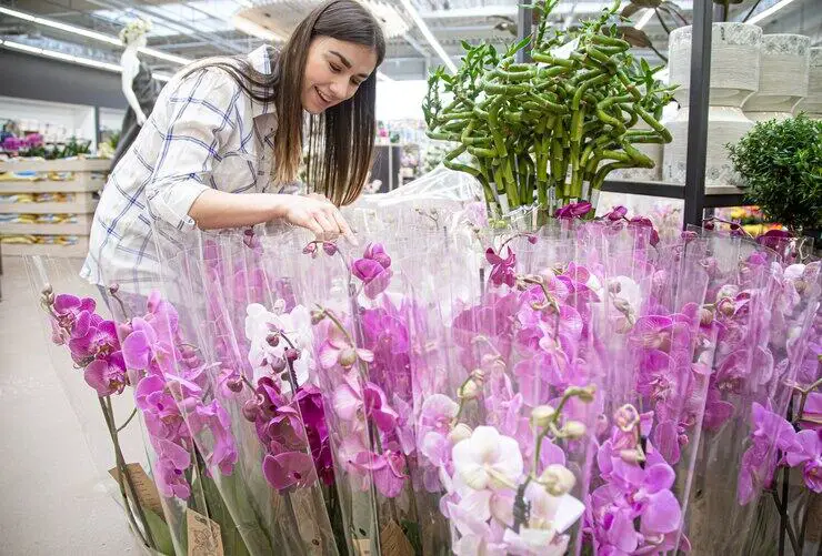 The Best Tips for Flower Buyers