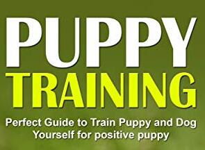 How to Train Your Puppy