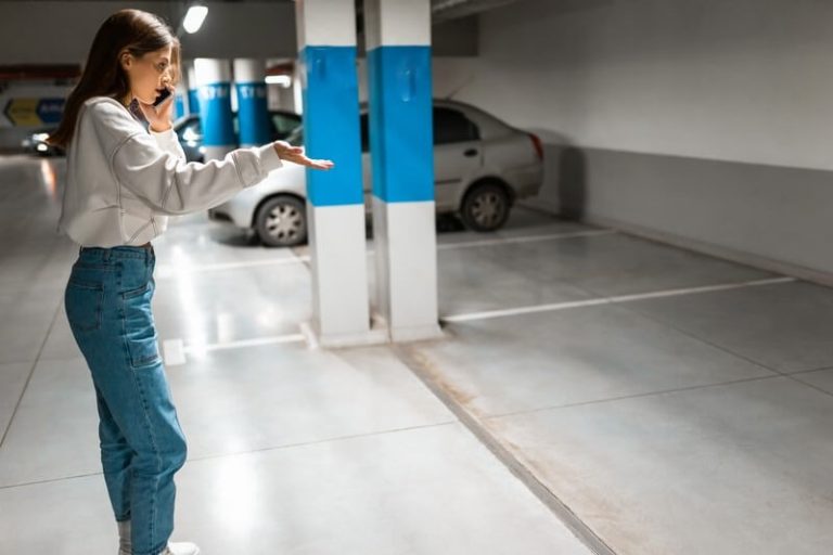 Can I check if a car is stolen using a license plate for free?