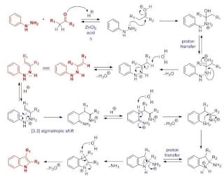 Fischer Indole Synthesis Reaction