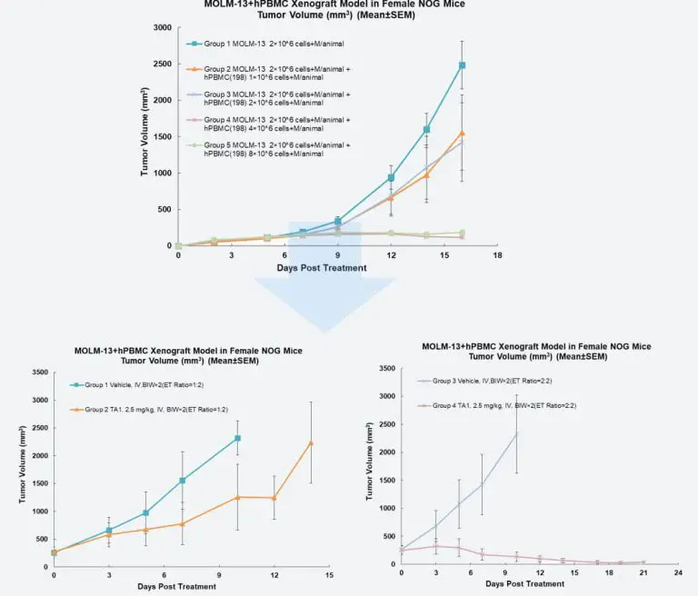 Application of Hu-PDX Model in Tumor Immunology