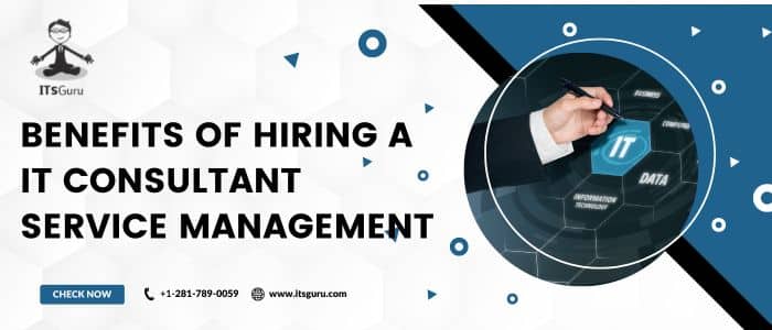 Benefits Of Hiring A IT Consultant Service Management