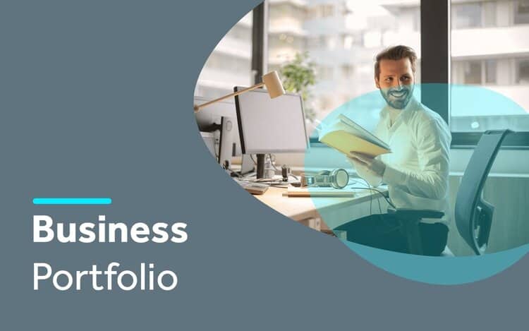 What is a Business Portfolio?