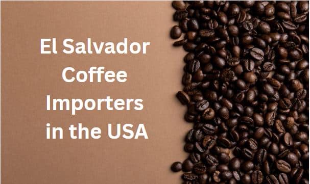 A Buyer’s Guide to El Salvador Coffee