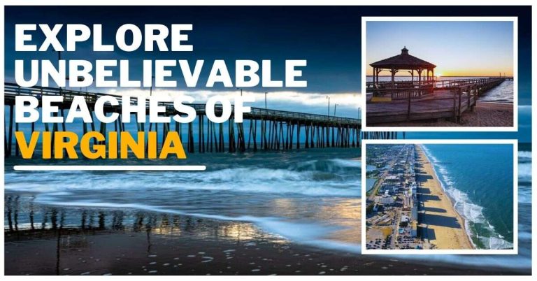 Explore Unbelievable Beaches of Virginia