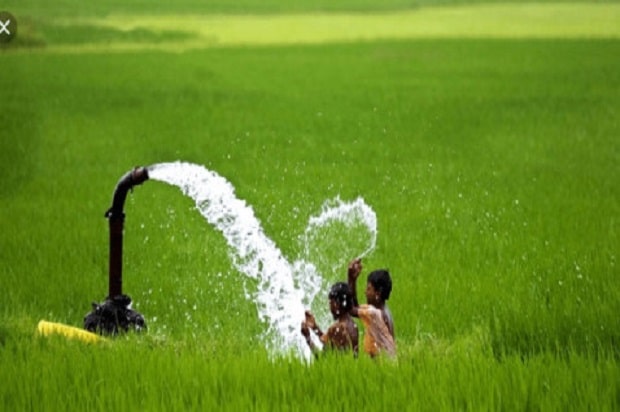 Global Agricultural Pumps Industry