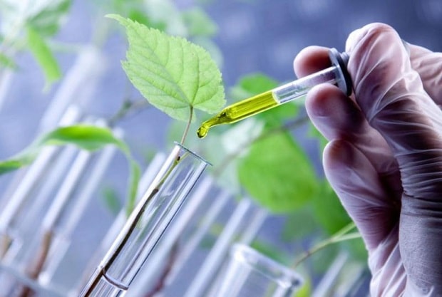 Global Green Chemicals Market expected to record a CAGR of ~10% during the forecast period (2017-2028): Ken Research