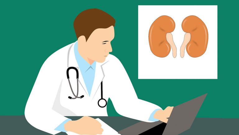 Inventory of the five significant mechanisms of nephrotoxic drug effects