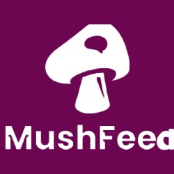 Mushfeed Magic Mushroom Depression Treatment