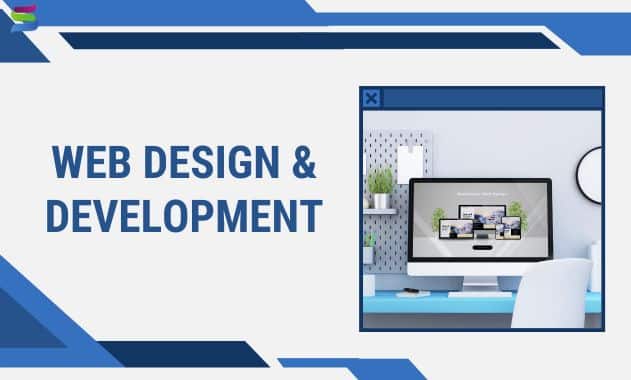 Pros and Cons of Web Development Services (2)