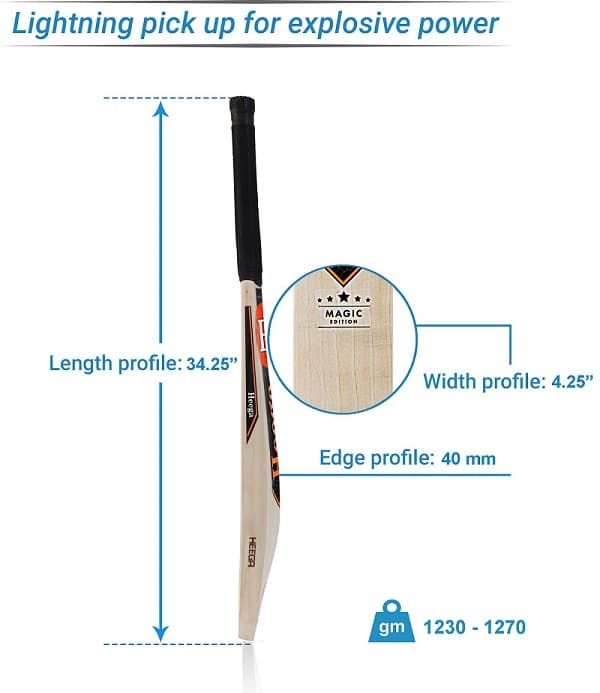 Guide to Buy A Professional Cricket Bat