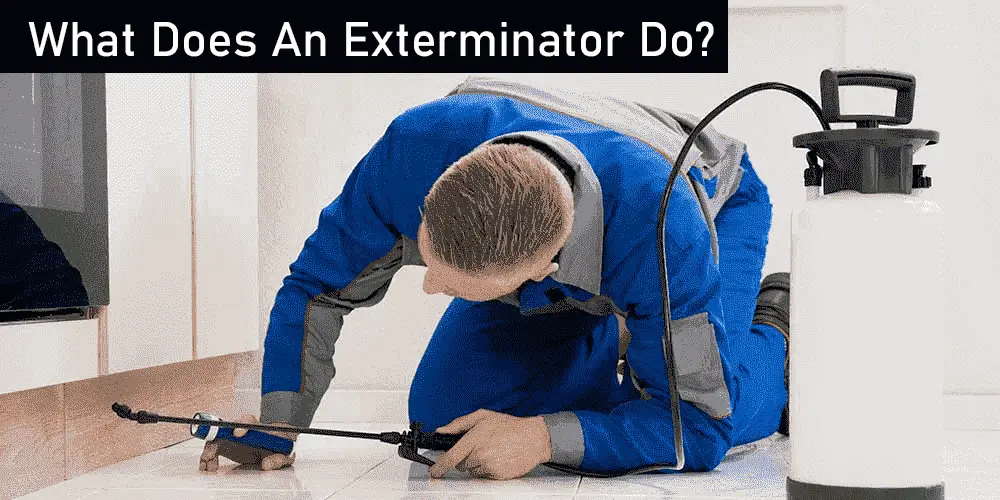 What Does An Exterminator Do?